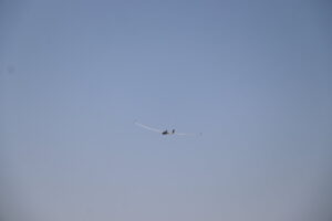 zm.IMG_0954