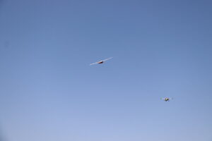 zm.IMG_0980