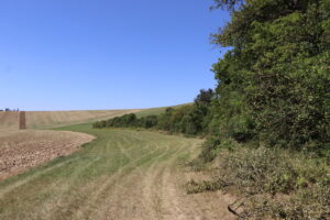 zm.IMG_1152