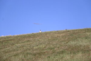 zm.IMG_1159
