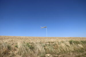 zm.IMG_1173
