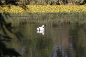 zm.IMG_1341