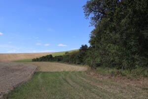 zm.IMG_1347