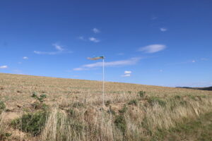 zm.IMG_1356