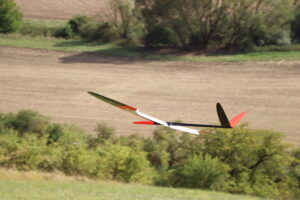 zm.IMG_1415