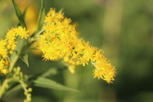 zm.IMG_1453