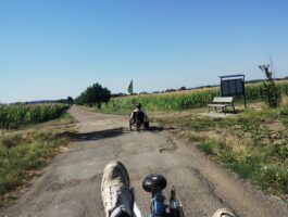 zm.IMG_20260808_094949962