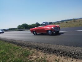 zm.IMG_20260808_121308062
