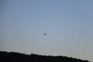 zm.IMG_1790