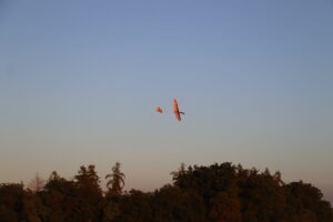 zm.IMG_1820