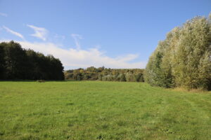 zm.IMG_1828