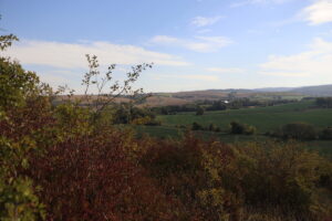 zm.IMG_1843