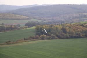 zm.IMG_1875