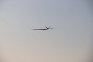 zm.IMG_1917