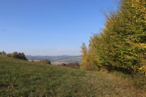 zm.IMG_2171