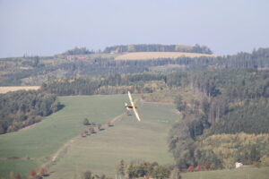 zm.IMG_2184