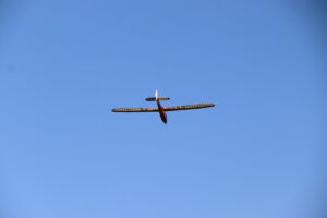 zm.IMG_2187
