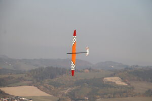 zm.IMG_2229