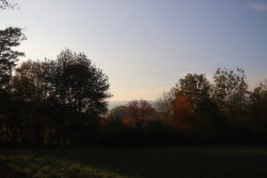 zm.IMG_2263