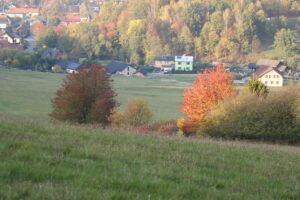 zm.IMG_2266