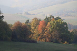 zm.IMG_2267